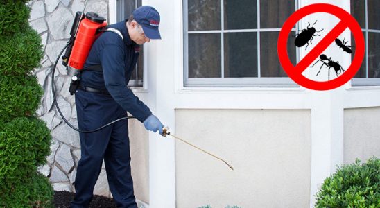 Koyulhisar Hamam Böceği İlaçlama böcek ilaçlama ve haşere kontrolü — ilaclama-tr.com